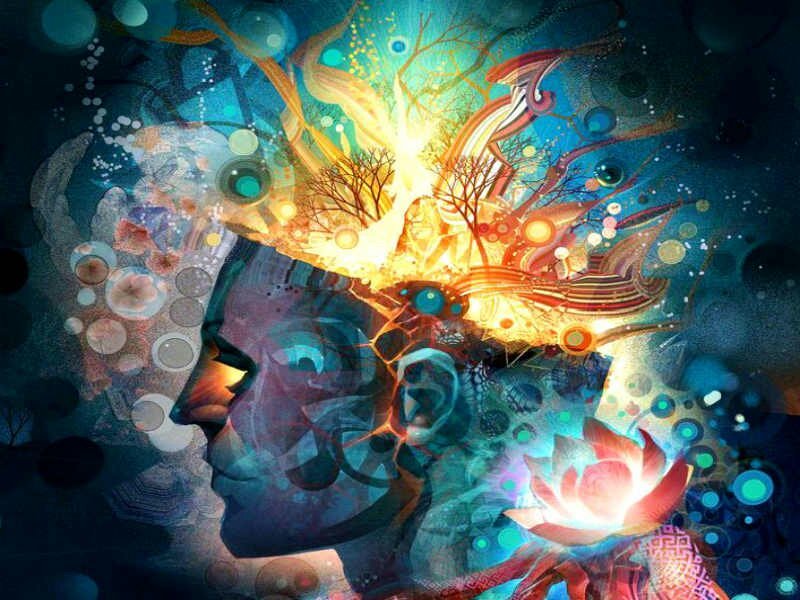 ca5b030586b3b08a6b0d0eed7b65b340e54ba43dv2_hq