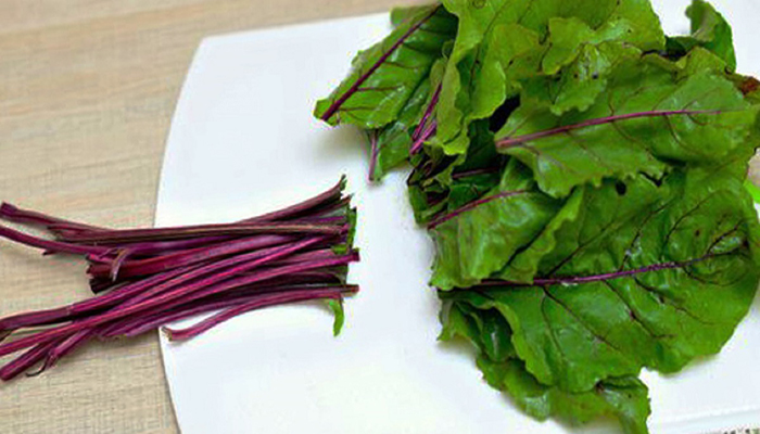 portada-hojas-remolacha-betabel