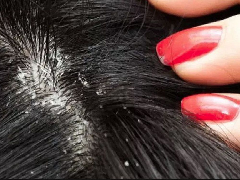 QXHZRIBXPFA7PFHH3WEUVHIKTM