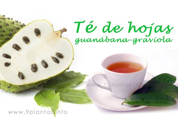 re-hojas-de-guanabana