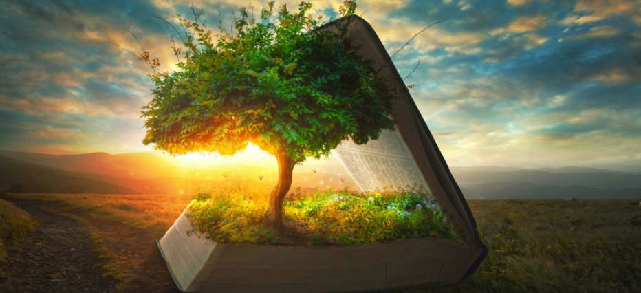 Screenshot_2018-12-18-08-13-19-392_com.android.browser