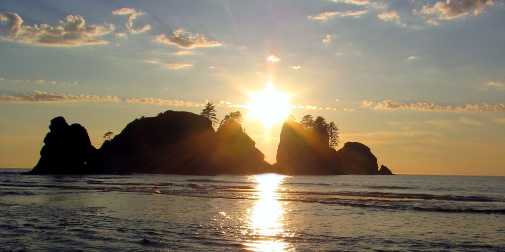 1102008060_univ_lsr_xl