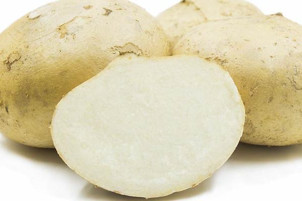 Blog_20181128_Vida_Jicama-600x400-nzr0hf70ijrwr98f3rm2imp9f6264yfwfe25xjg23k