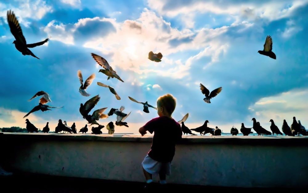 33fdf4b1970f91939a2a03a6a6c4a7c3