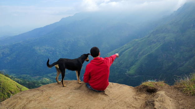 chico-perro-disfrutando-paisaje-montana-al-borde-acantilado_105751-5916