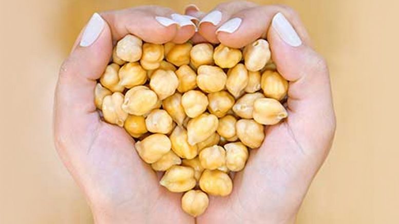 garbanzoso2--777x437